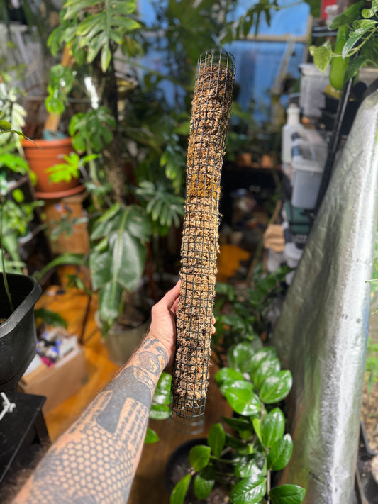 Sphagnum Moss Pole