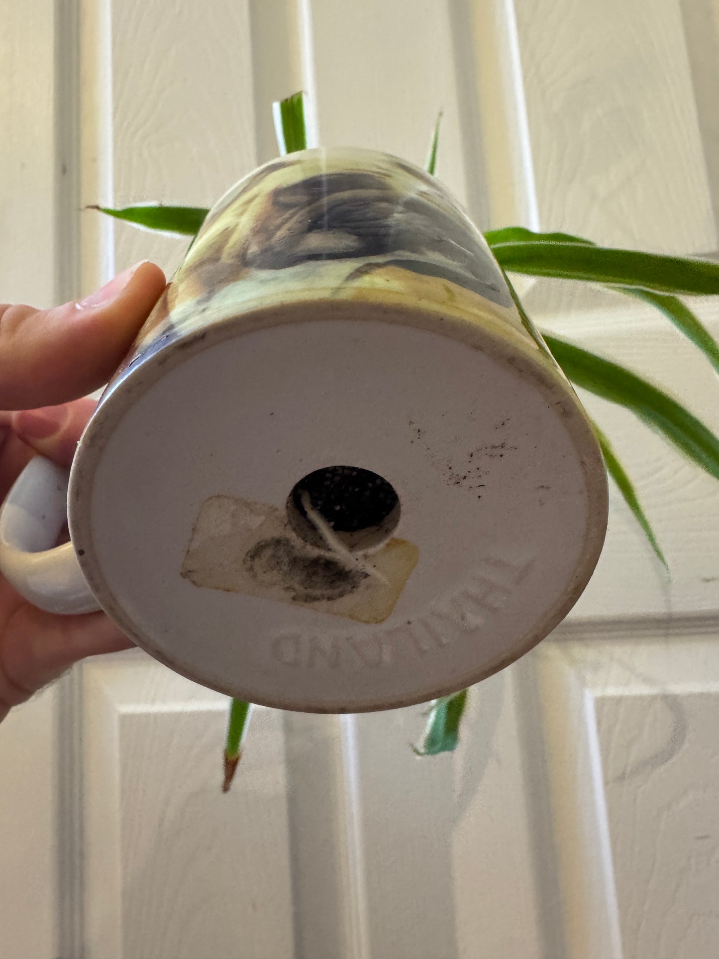 Spoiled Rotten Bulldog Mug
